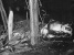 mfd-old-crash.jpg (150526 bytes)